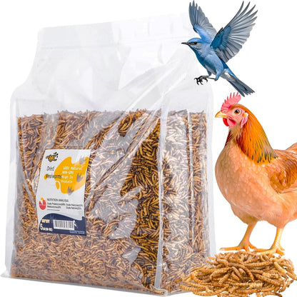 RANZ 5LBS Non-GMO Dried Mealworms for Chickens, High Protein Meal Worms, Premium Chicken Feed, Perfect Bird Food and Chicken Treats, Whole Large Mealworms for Wild Birds, Ducks, Fish