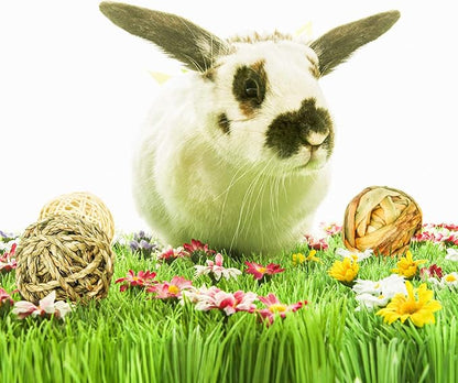 9 Pcs Small Animals Play Balls Rolling Activity Chew Toys Gnawing Treats for Rabbits Guinea Pigs Chinchilla Bunny Natural Balls, Pet Cage Entertainment Accessories (9 Pcs)