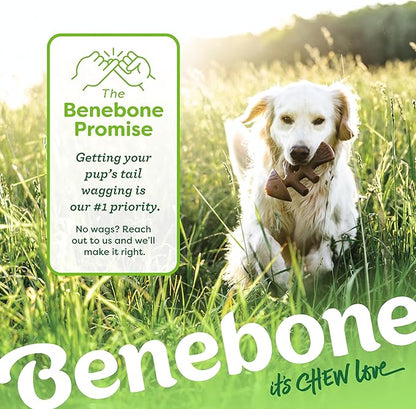 Benebone 2-pack Fishbone/Wishbone Durable Dog Chew Toys, Real Fish, Real Bacon, Made in USA, Small