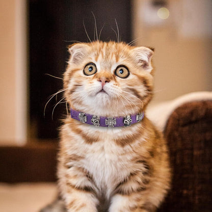 EXPAWLORER Leather Cat Collar for Girl Boy- Adjustable Pet Collar with Safety Elastic Belt,Personalized Punk Accessories Buckle Collars with Bell & Durable D-Ring, Skull(Purple)