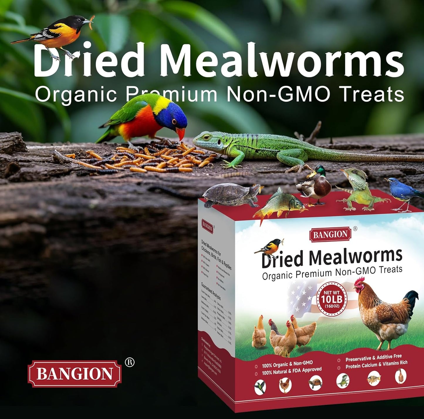 Dried Mealworms 10 Lbs-Organic MealWorms for Chickens & Birds, Non-GMO Meal Worms for Chickens, Wild Birds, Bluebirds, High Protein Chicken Feed Bird Treats, Worms for Chicken, Hens, Bird, Reptiles