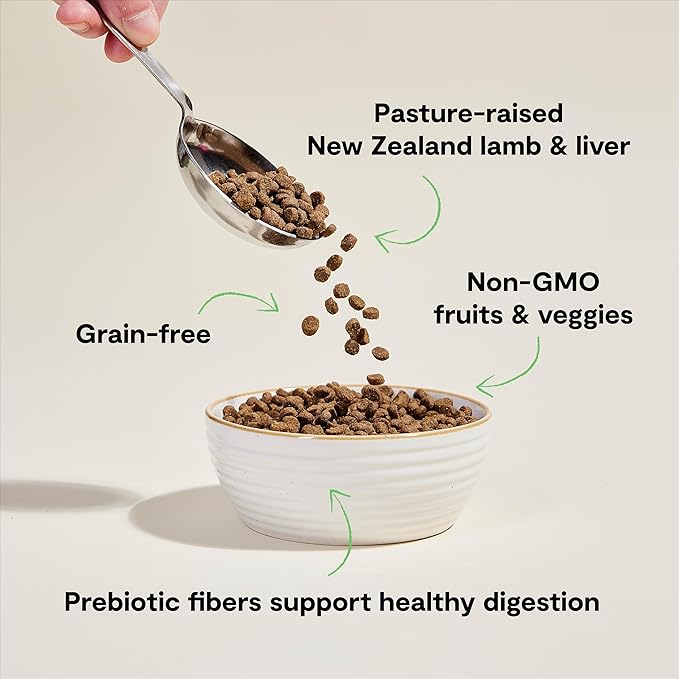 Open Farm, Grain Free Dry Cat Food, High-Protein Kibble for a Complete & Balanced Diet, Non-GMO Fruits & Vegetables, Prebiotic Fibers to Support Digestion, Pasture-Raised Lamb Recipe, 4lb Bag