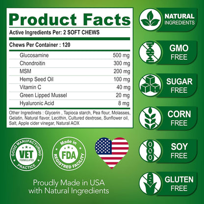 Vet Promise Glucosamine for Dogs - Hip and Joint Supplement for Dogs - Glucosamine Chondroitin - Joint Pain Relief Pills - MSM - Advanced Health Support Supplement - 120 Mobility Chews - Made in USA