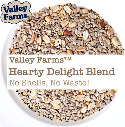 Valley Farms Bird Lover Bundles- Premium Wild Bird Food Gift Packs (4 Pack)