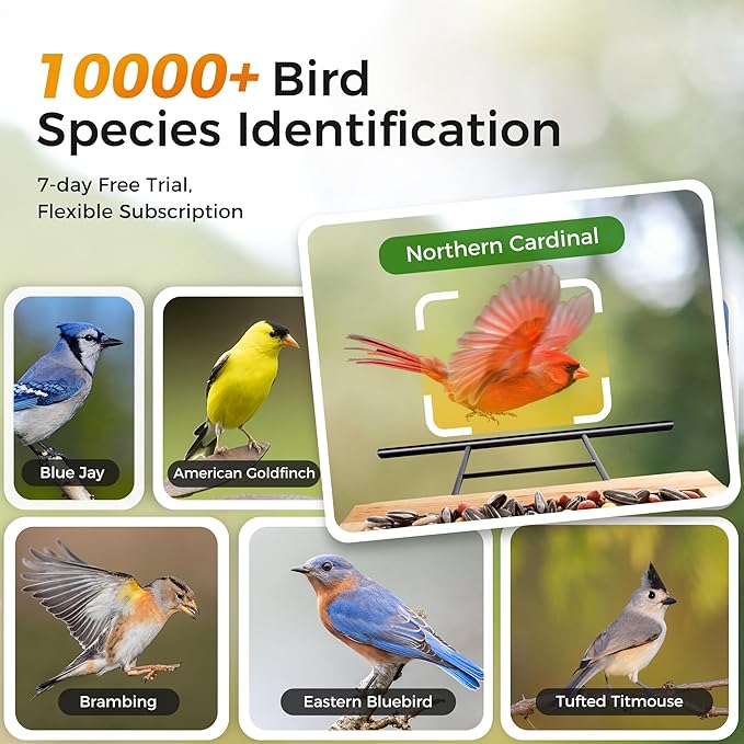 Bird Feeder with Camera, BBPECO Smart Bird House Cam with Instant Arrival Alerts, AI Identifies 10,000+ Species & Free Cloud Video, Suitable for Birdwatching (Powered by Birdty App)