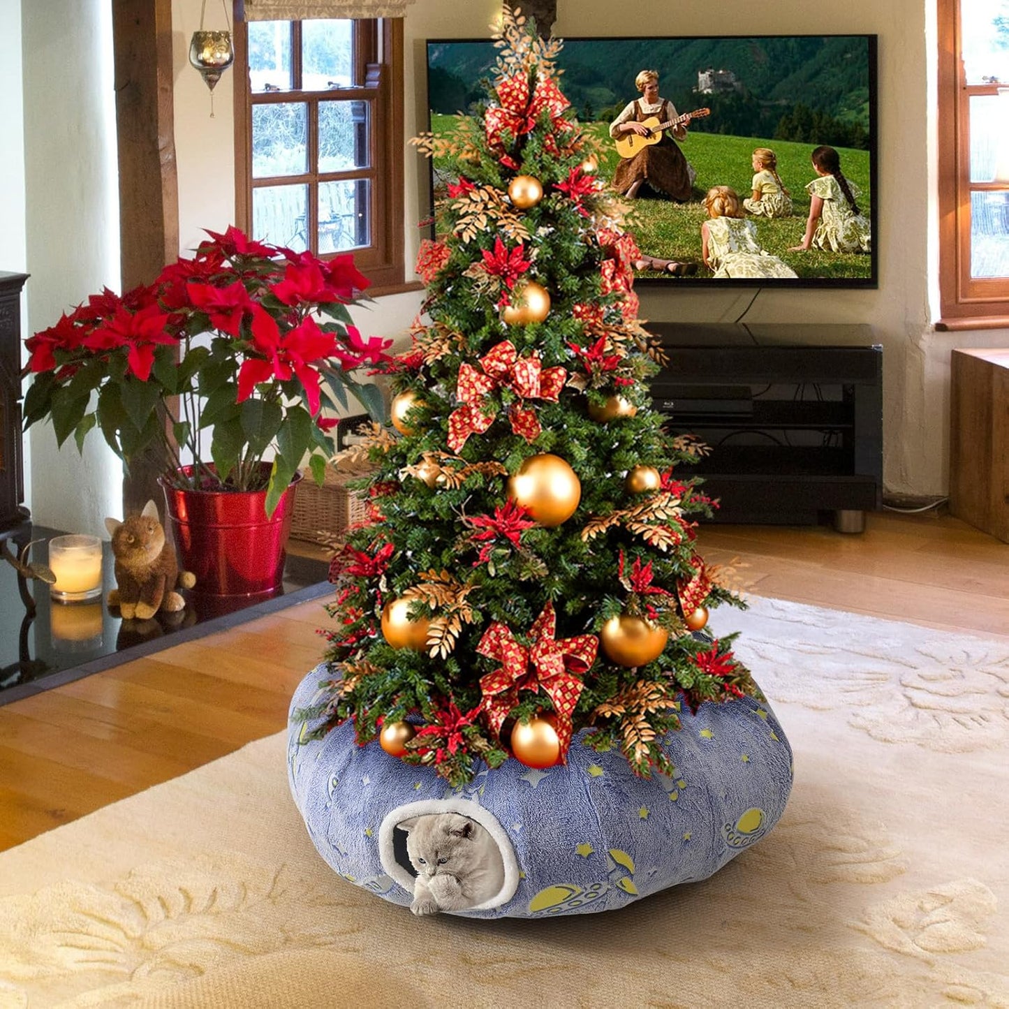 Large Cat Tunnels Bed Tube for Indoor Cats Glows in The Dark Cat Tunnel with Cushion and Plush Ball Toy Longer Playground Toys for Dog Puppy Kitten Rabbit Bunnies Ferret Pet Blue