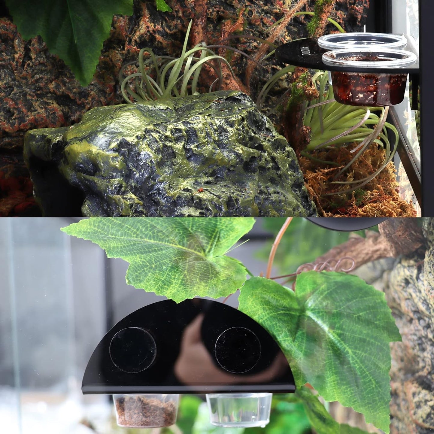 AIICIOO Gecko Feeder Ledge with 6 Pack Plastic Bowls Crested Gecko Food Dish Strong Magnetic Reptile Food Feeder Water Dish for Chameleon Bearded Dragon Tank Accessories