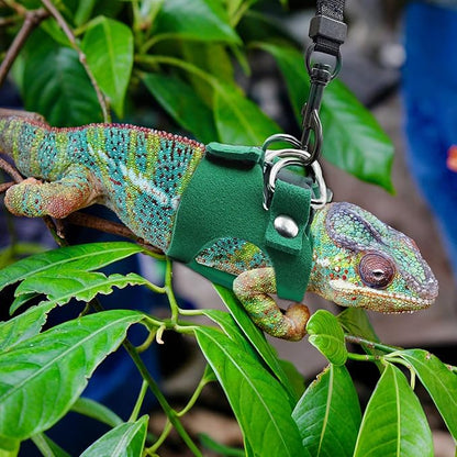 Bearded Dragon Harness and Leash Set, 3 Size Adjustable Soft Leather Reptile Leash, Lizard Harness with Retractable, Small Animal Outdoor Walking Vest with Traction Rope, 3 Pack (Green)