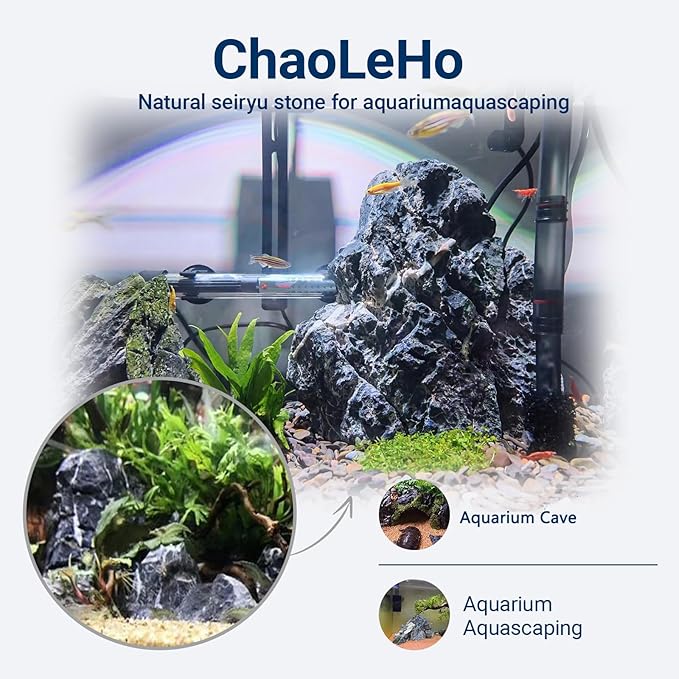 Dragon Stone Aquarium Rock Seiryu Stone for Aquariums, Fish Tanks, Bonsai, Terrariums, Wargaming Dioramas, Indoor or Outdoor Gardens-40Lb(2-10 Inch)