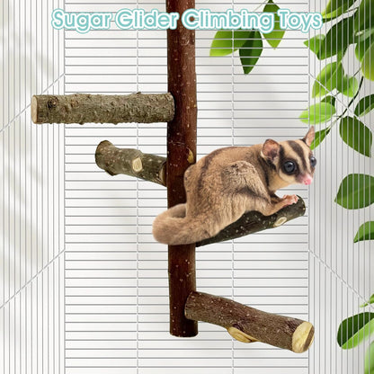 BNOSDM Sugar Glider Toy Natural Fruitwood Perch Stand Squirrel Hanging Wooden Climbing Pole Hamster Paw Grinding Perch Small Animal Cage Accessories for Chinchillas Rats Gerbil