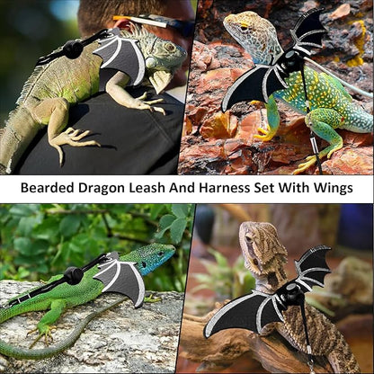 Bearded Dragon Leash and Harness Set, Bearded Dragon Accessories(Include Chest Pack, Lizard Leash), Bearded Dragon Decor Suit for Outdoor Travel-Black