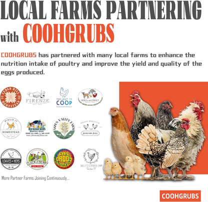 Dried Black Soldier Fly Larvae for Chickens, High-Calcium 85X More Than Mealworms Bird Treats, 5-lb Box