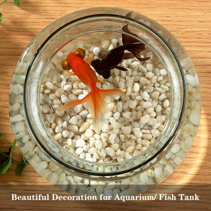 5lb River Rocks Polished Silica Gravel for Plants Garden, Decorative Pebbles Ideal for Fish Tank, Vases, Succulents, Crafting, Home Decor and Garden Landscaping, Snow White(0.2-0.3”)