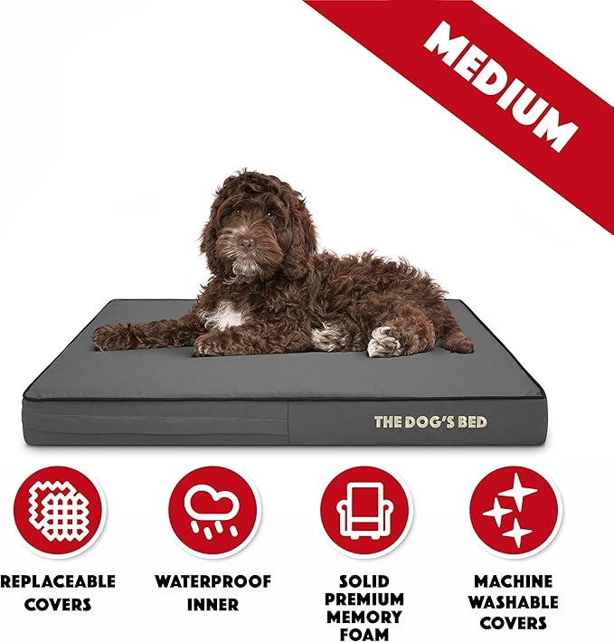 The Dog’s Bed Orthopedic Memory Foam Dog Bed, Medium Grey & Black, Waterproof, Supportive Dog Bed with Replaceable Covers
