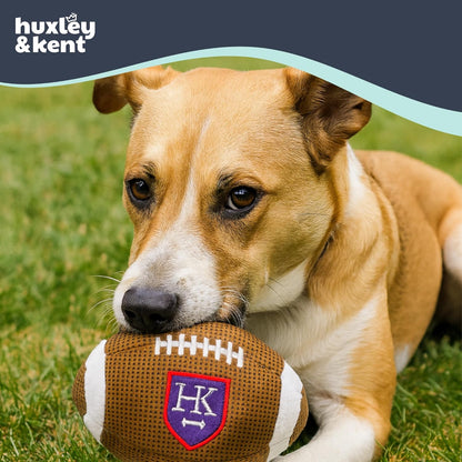 Huxley & Kent Funny Dog Toy w/Squeaker – Power Plush Squeaky Dog Toys for Small, Medium & Large Dogs – Soft Stuffed Animal for Indoor Play & Fetch - HK Football, Large