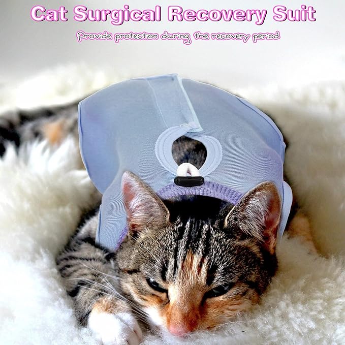 Nuanchu 3 Pieces Cat Recovery Suit Kitten Recovery Suit E-Collar Alternative for Cats and Dogs Abdominal Skin Anti Licking Pajama Clothes Sets(Small,Solid Style,Purple Pink Blue)