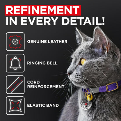 WAUDOG Ultra Soft Rolled Leather Cat Collar with Removable Bell, Safety Elastic Strap and QR ID Tag - Soft Padded for Small, Medium, and Large Cats - Round Kitten Collar for Male and Female Cats