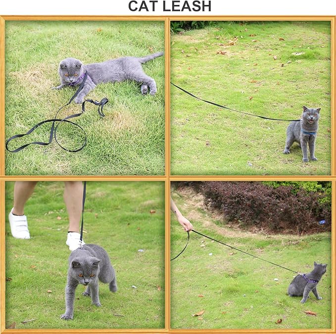 AMAGOOD 6 FT Cat Leash, Strong and Durable Traditional Style Leash with Easy to Use Collar Hook,Cat Lead Great for Cats (3/8 in x 6 ft,Black and Brown(2-Pack))