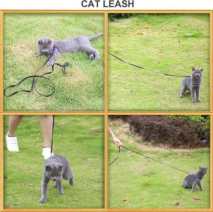 AMAGOOD 6 FT Cat Leash, Strong and Durable Traditional Style Leash with Easy to Use Collar Hook,Cat Lead Great for Cats (3/8 in x 6 ft,Black and Brown(2-Pack))