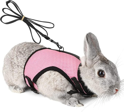 PETTOM Bunny Rabbit Harness with Stretchy Leash Cute Adjustable Buckle Breathable Mesh Vest Harness and Leash Set for Kitten Small Pets Holland Lop Bunnies Walking (Pink,S)