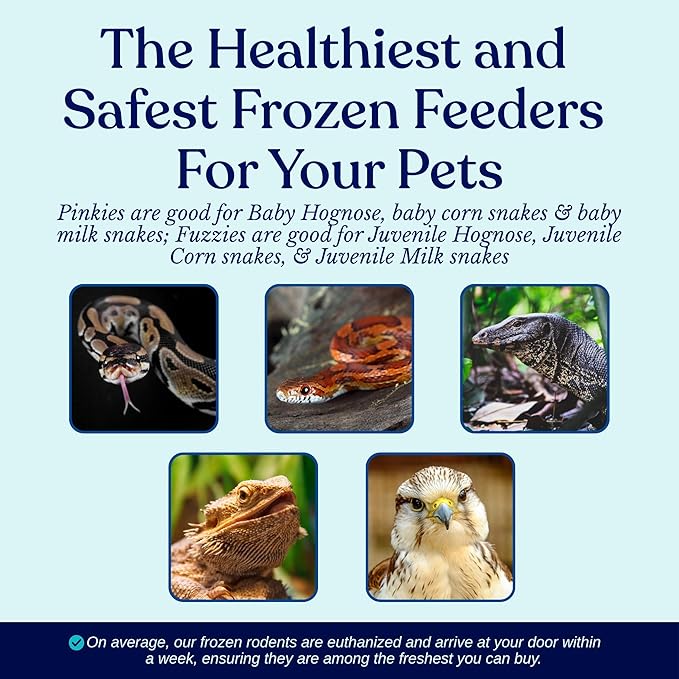 MiceDirect Frozen Mice Combo Pack 100 Pinkies & 50 Small Fuzzies Feeder Snake Reptile Food (150 Count)