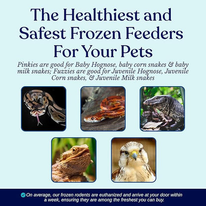 MiceDirect Frozen Mice Combo Pack 100 Pinkies & 50 Small Fuzzies Feeder Snake Reptile Food (150 Count)