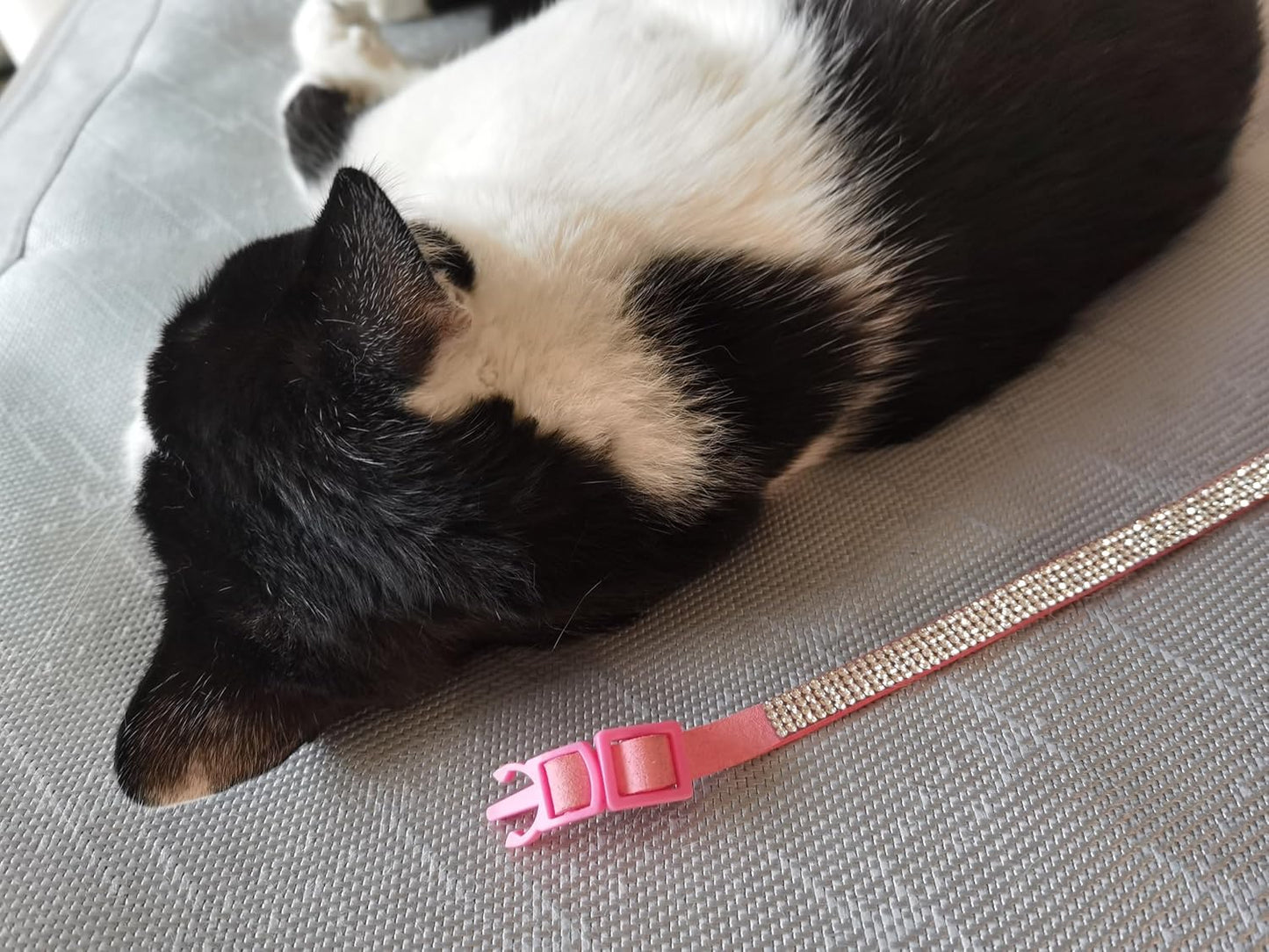 Pack of 2 Rhinestone Cat Collar Breakaway Safety Buckle with Bell, Adjustable Diamond Girl Boy Kitty Cute Comfy Collar for Kitten Small Pets Rabbits, 7.5"-11"