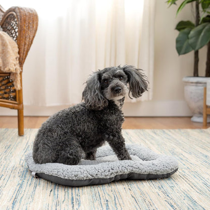 SportPet Designs Foldable Travel Cat Carrier - Front Door Plastic Collapsible Carrier Collection, Waterproof Bed (Pack of 2)