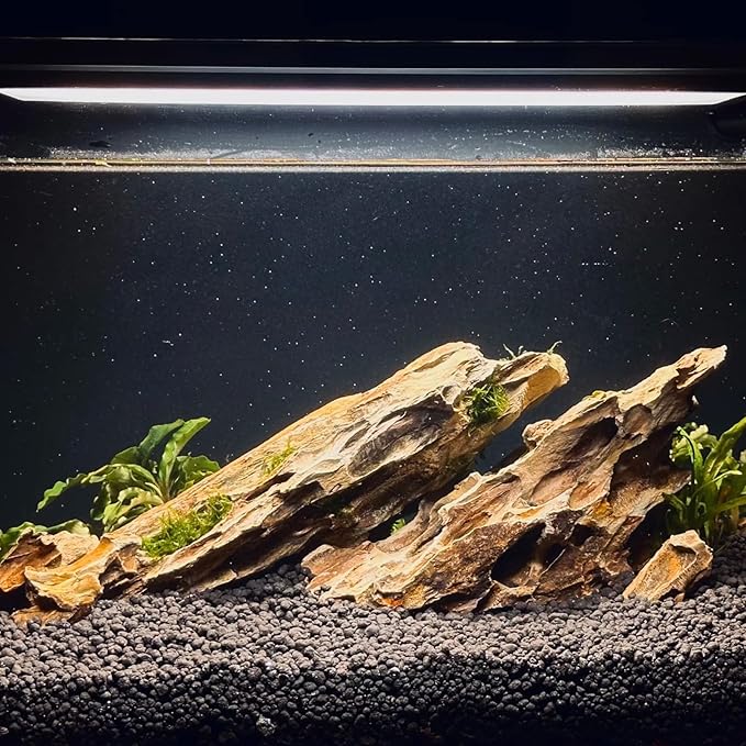 Dragon Rocks Aquariums Stones Natural Rocks for Aquascaping, Aquariums, Terrariums, Vivariums Decorative Stone,Reptile Enclosures,Paludariums,and Gardens-10LB（2 to 7 inch）