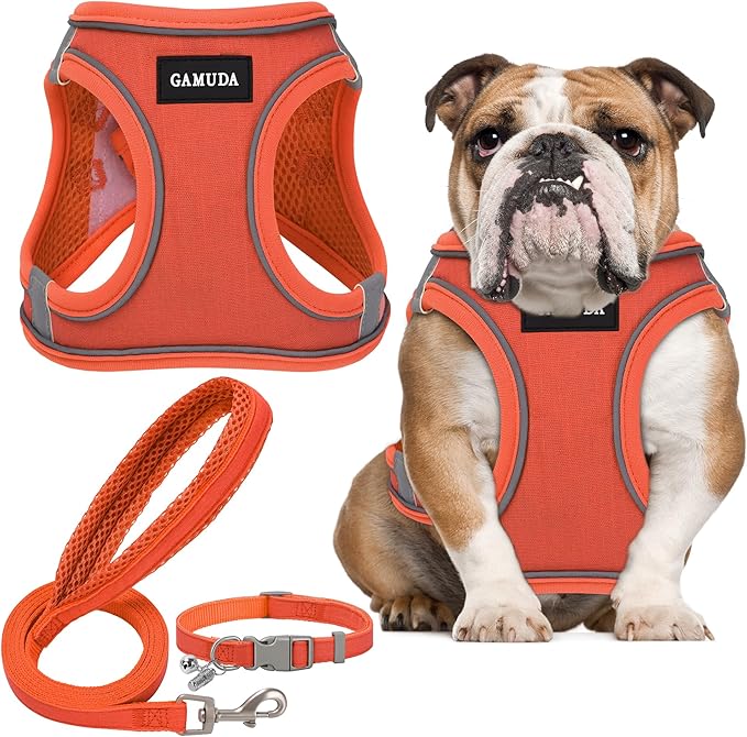 GAMUDA Small Pet Harness Collar and Leash Set, Step in No Chock No Pull Linen Fabric Soft Mesh Dog Vest Harnesses Reflective for Dogs Puppy Cats Kitten Rabbit (Orange, L)
