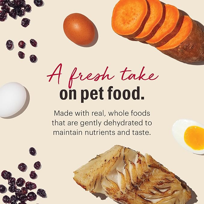 The Honest Kitchen Wholemade™ Grain Free Fish Dog Food, 10 lb Box