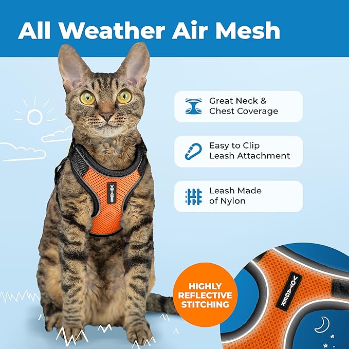 Voyager Escape Proof Cat Harness and Leash Set with Reflective Stitching, Neoprene Handle 5ft - Supports Small, Medium and Large Cats, Kittens for Walking by Best Pet Supplies - BT-Orange, XXXS