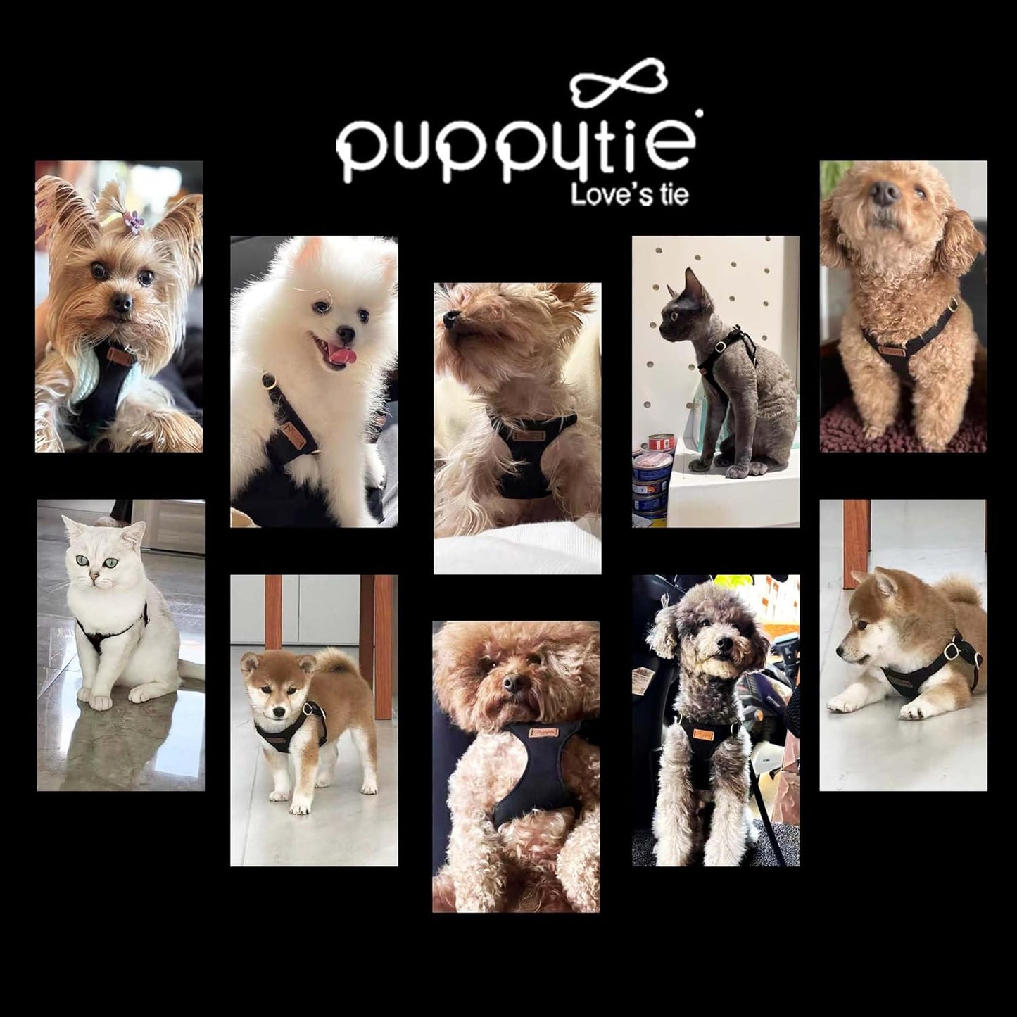 Puppytie No Pull xs Dog Harness with Multifunction Dog Leash,Soft Adjustable No Choke Escape Proof Pet Harness Vest,Black,XS