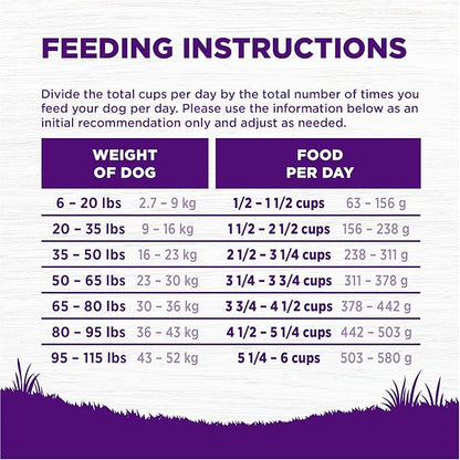 Wellness Complete Health Dry Dog Food, Wholesome Grains, Natural, Beef & Barley Recipe, (26-Pound Bag)