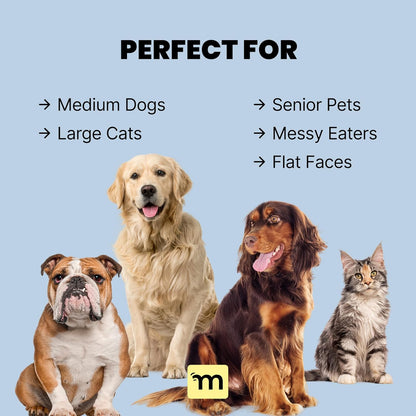 Malsipree Dog Bowls Elevated for Medium Breeds - 6.5" Raised Dog Stand - 2 Stainless Steel Bowls - Foldable Feeding Station - Raised Edges to Catch Mess & Spills - Dishwasher Safe