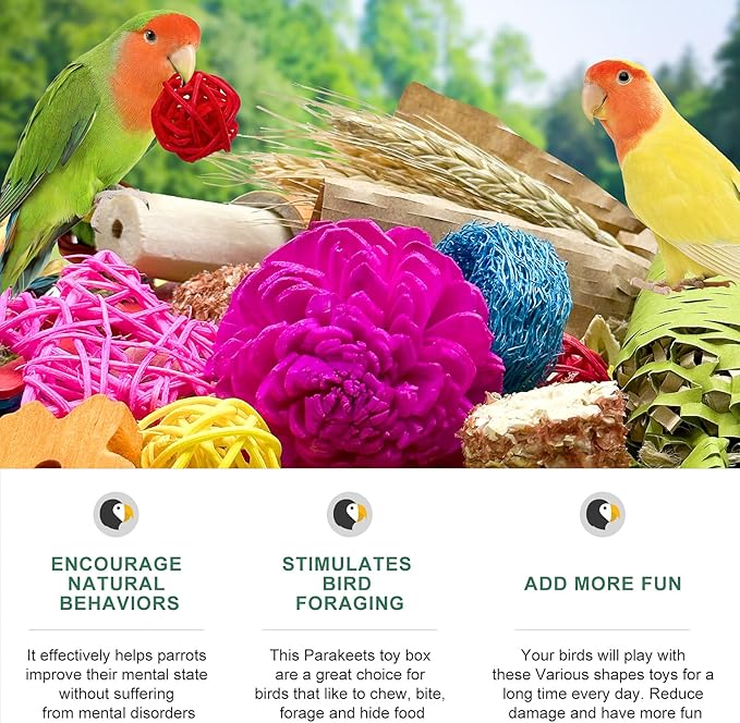 Natural Bird Toy Foraging Parrot Shredding Toys Box Conure Chewing Toys for Cockatiel Lovebird Parakeet Budgie Small-Medium Birds (Colorful)