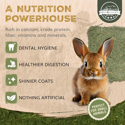 40lb Farm Fresh, USA Grown, Organic Alfalfa Hay for Rabbits, Guinea Pigs, Chinchillas, Goats, Hamsters & Ferrets - Small Animal Food Rich in Protein & Fiber - Just Dried, Hand-Selected