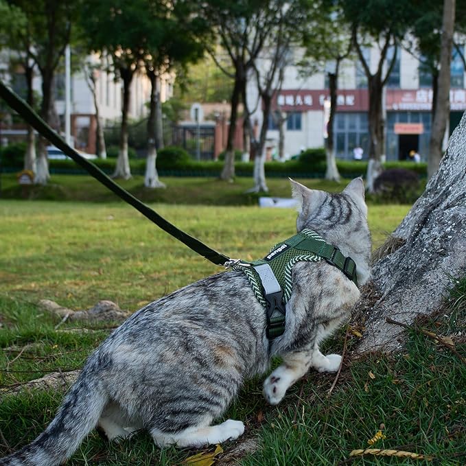 Cat Harness and Leash Escape Proof Small Kitten Harness Abyssinian Cat Vest for Walking Travel, Dark Green, S