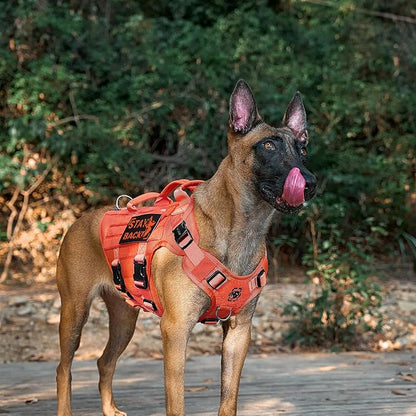 OneTigris Large Tactical Dog Harness, No Pulling Adjustable Dog Vest Harness, Heavy Duty Dog Harness with Handle, Large Hook and Loop Panels for Patch(Orange,L)
