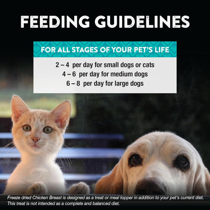 Northwest Naturals Raw Rewards Freeze-Dried Chicken Breast Treats for Dogs and Cats - Bite-Sized Pieces - Healthy, 1 Ingredient, Human Grade Pet Food, All Natural, Proudly Made in USA, 10 Oz