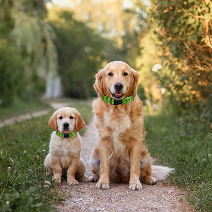 Shamrock Gold Coin St Patrick's Day Dog Collar Soft Pet Collars for Small Medium Large Breed Dogs Cats Puppy Kitten Terrier