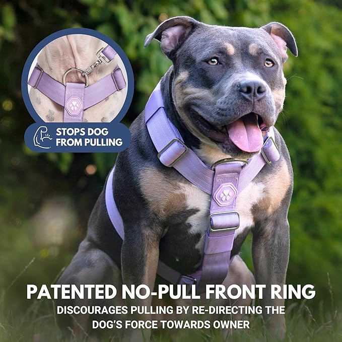 Spark Paws No Pull Dog Harness for Large Dogs, Heavy Duty Dog Harness for Big Strong Breeds, Adjustable, Y Shaped Padded Halter Design with Front Clip - Purple - Large