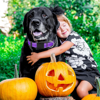 Sanwuta 12 Pcs Reflective Puppy Dog Collars Bulk for Litter Dogs Adjustable Safety Nylon Collars with Locking Buckle Soft Padded Breathable Puppy Collar for Cats Pets(Medium)