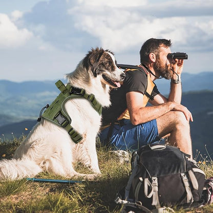 WINGOIN Green Tactical Dog Harness for Small Dogs, Heavy Duty No Pull Harness with Handle, Adjustable Reflective Military K9 Pet Vest for French Bulldog, Pug, Walking, Training, Hunting (S)