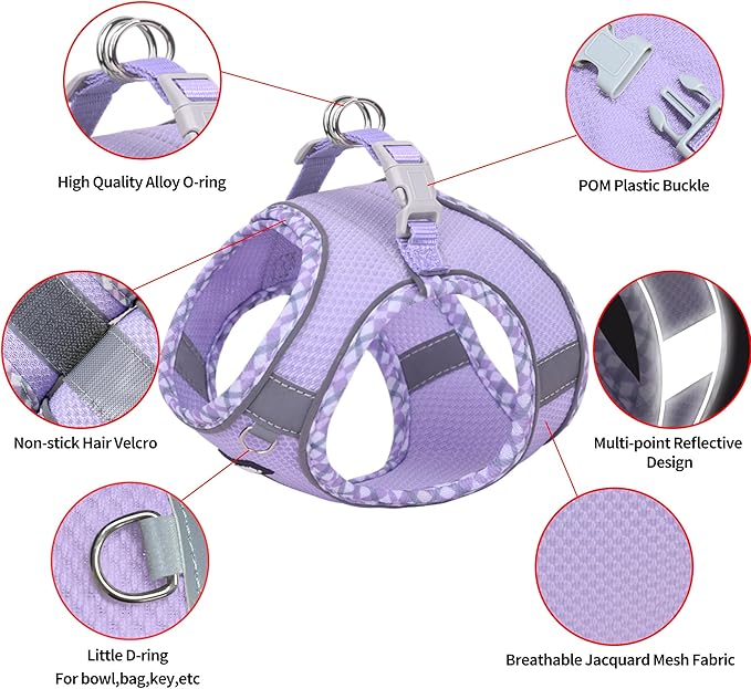 AIITLE Teacup Puppy Harness with Leash - Adjustable Soft Vest with Magic Tape & Reflective Safety Strips, Easy-Put-On for Poodles, Pomeranians - Gym, Hiking, Travel (Purple, S)