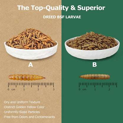 Premium Dried Black Soldier Fly Larvae for Chickens - 5LB High Calcium Supplement, Molting and Laying Support, Non-GMO & High-Protein Treats, Food for Wild Birds, Ducks, Reptile | Top Grade