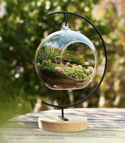 15-Piece Terrarium Kit with Live Moss – DIY Glass Globe Set with Tools, Soil, Stones & Spray Bottle – Indoor Mini Garden Gift for Plant Lovers, Home Decor & Zen Craft