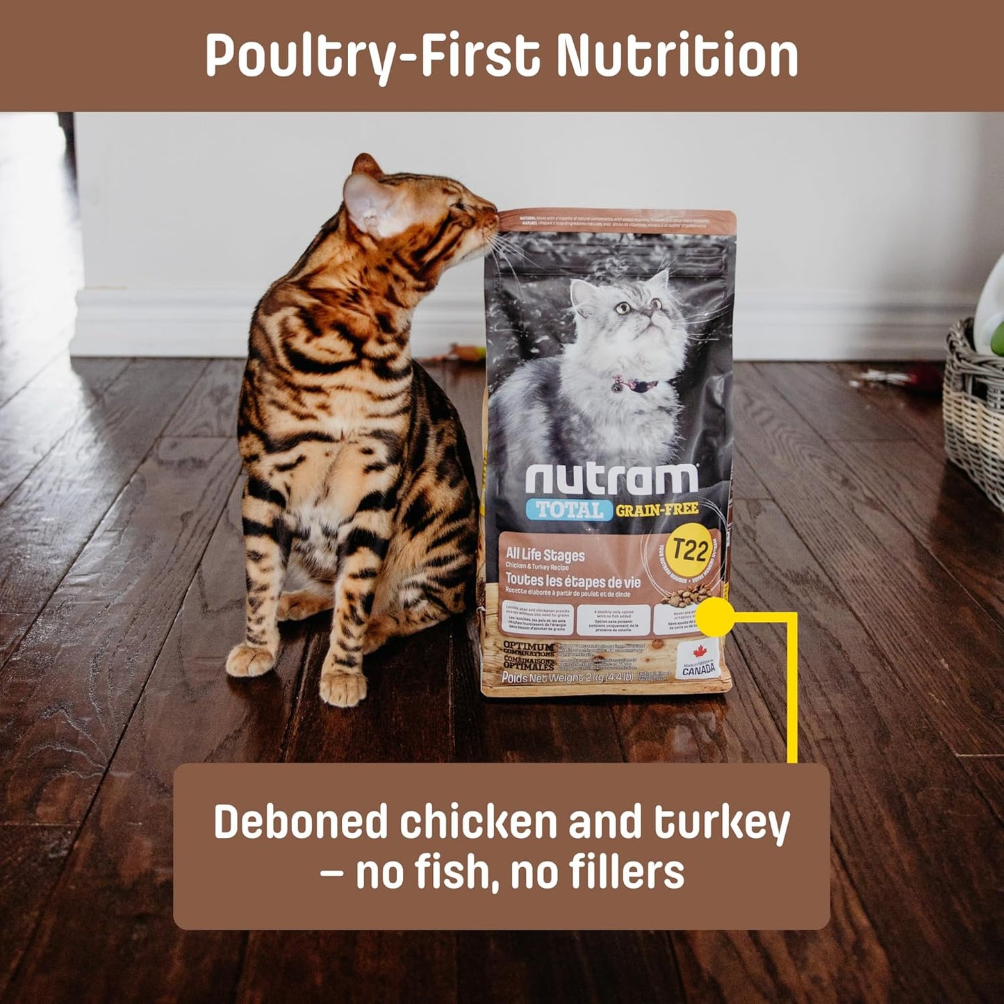 T22 Grain-Free Cat Food – Chicken & Turkey Dry Kibble | Holistic andHigh Protein, Urinary Support, Clean Nutrition for Adult Cats & Kittens | Supports a Strong Immune System (4.4 Pounds)