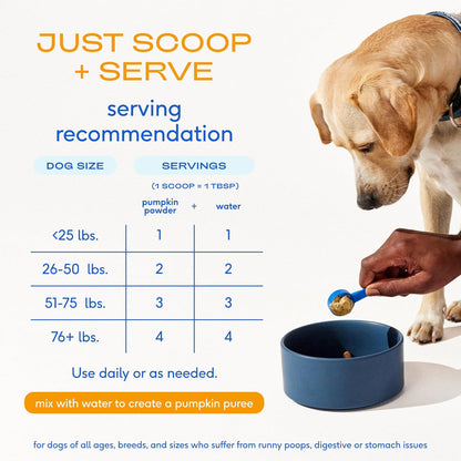 Native Pet Pumpkin for Dogs - Organic Powder Pumpkin Puree Dog Food Toppers -Rich in Fiber Supplement Powder Helps with Digestion, Nutrient Absorption, Diarrhea, Constipation & Upset Stomach-60 Scoops
