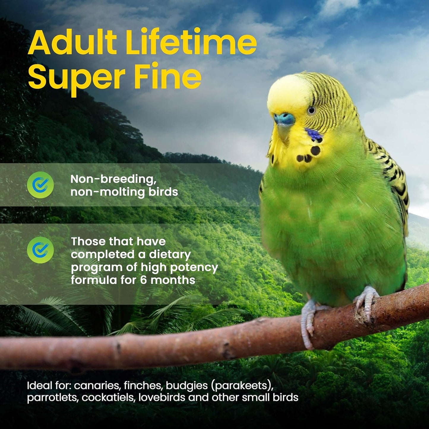 Harrison's Bird Foods Adult Lifetime Certified Organic Non-GMO Formula Small Bird Food 1lb